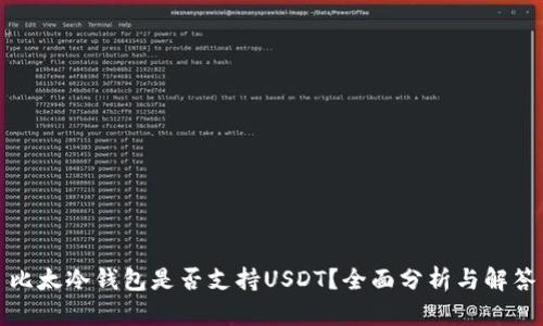 比太冷钱包是否支持USDT？全面分析与解答