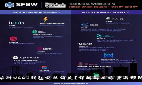 如何应对USDT钱包突然消失？详解解决方案与预防措施