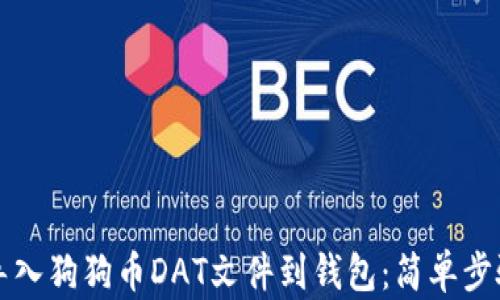 
如何导入狗狗币DAT文件到钱包：简单步骤指南