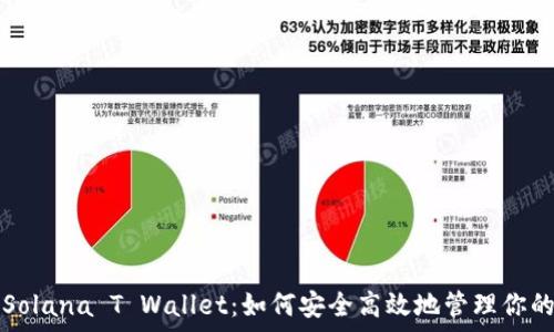   
全面解析Solana T Wallet：如何安全高效地管理你的数字资产