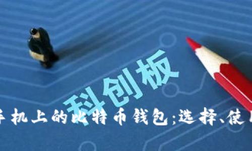 全面解析苹果手机上的比特币钱包：选择、使用与安全性指南