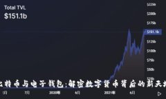比特币与电子钱包：解密