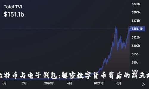 比特币与电子钱包：解密数字货币背后的新天地
