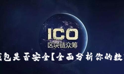 比特币热钱包是否安全？全面分析你的数字资产保护