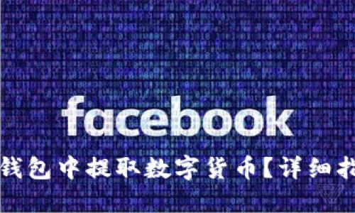 如何从TP钱包中提取数字货币？详细指南与解答