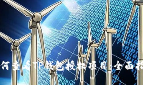 如何查看TP钱包授权项目：全面指南