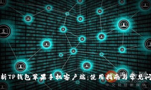 全面解析TP钱包苹果手机客户端：使用指南与常见问题解答