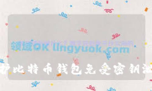 如何保护比特币钱包免受密钥泄露威胁