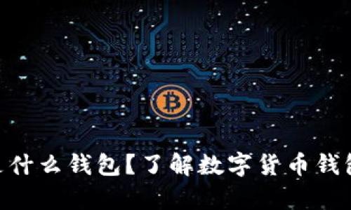 泰达币TRC20是什么钱包？了解数字货币钱包的种类与选择