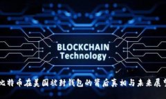 比特币在美国被封钱包的背后真相与未来展望