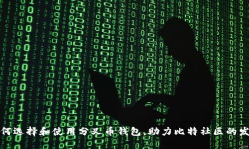 如何选择和使用分叉币钱包，助力比特社区的发展