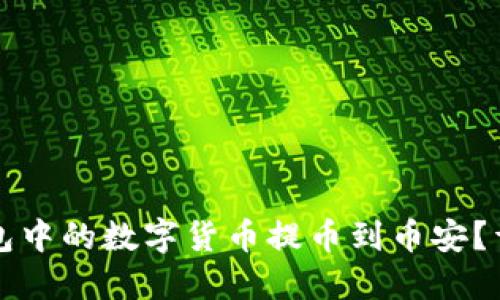 如何将TP钱包中的数字货币提币到币安？详细操作指南