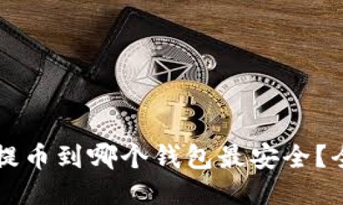 瑞波币提币到哪个钱包最安全？全面指南