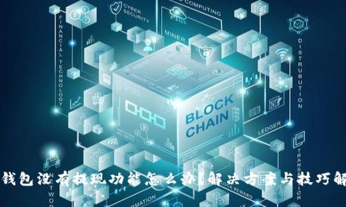 TP钱包没有提现功能怎么办？解决方案与技巧解析