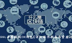 如何将SOL币存放到IM钱包？