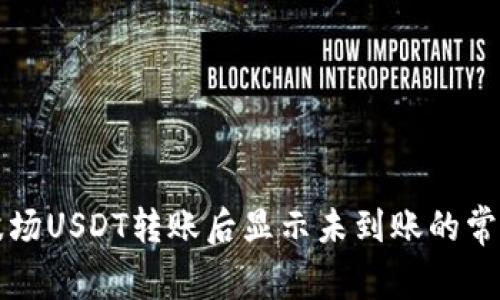 解决波场USDT转账后显示未到账的常见问题