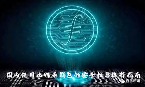 国内使用比特币钱包的安全性与选择指南