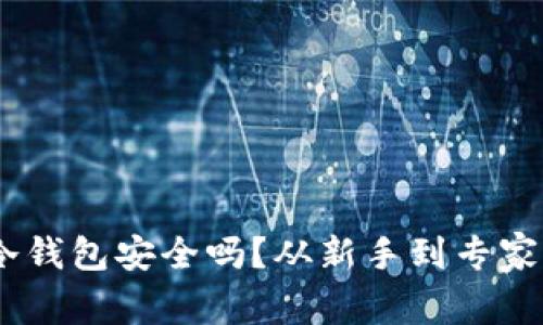 USDT转到冷钱包安全吗？从新手到专家的全面解读