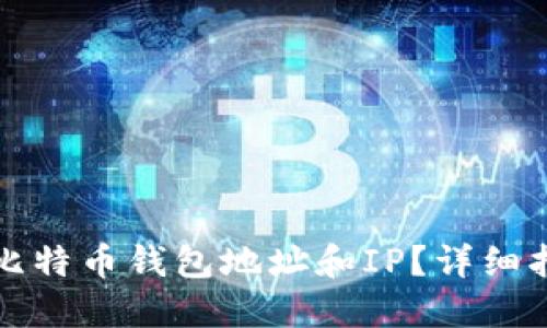 如何追踪比特币钱包地址和IP？详细指南与方法