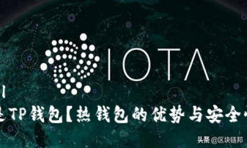 ```xml
什么是TP钱包？热钱包的优势与安全性解析