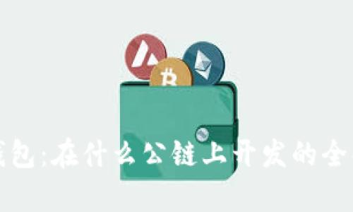 TP钱包：在什么公链上开发的全解析